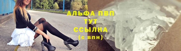 сатива Арсеньев