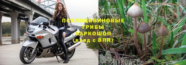 сатива Арсеньев