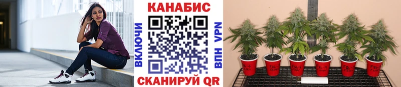 KRAKEN как войти  Крым  Шишки марихуана конопля 